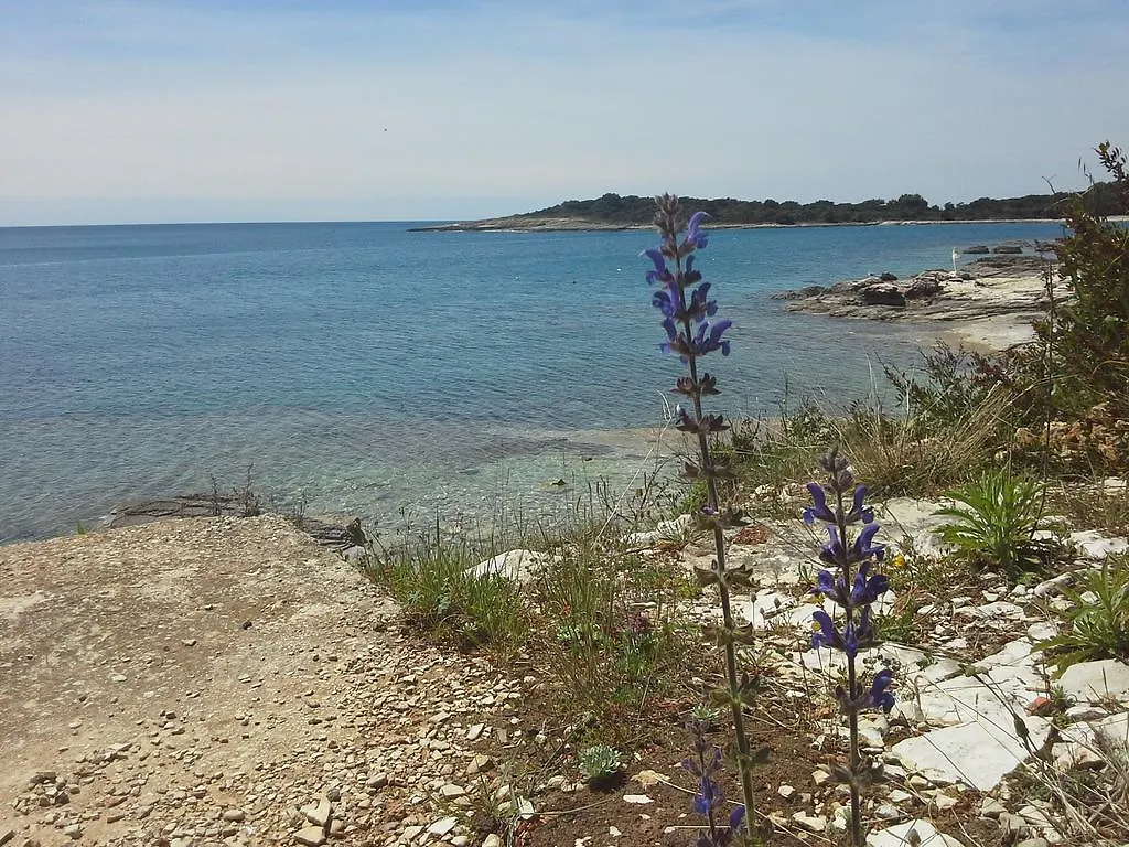 Apartment Greta,50 Meters To The Beach Banjole